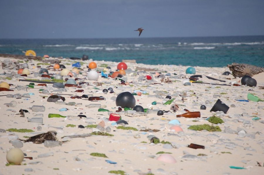 Plastic pollutes oceans across the world