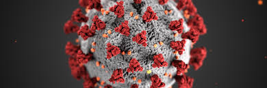 Coronavirus disrupts global events