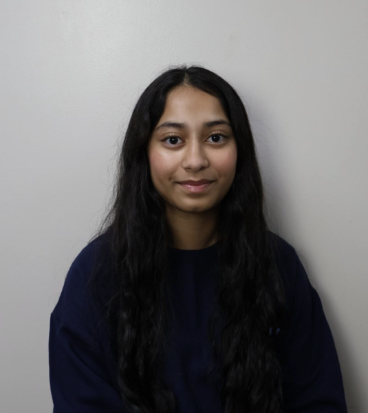 Medha K.
