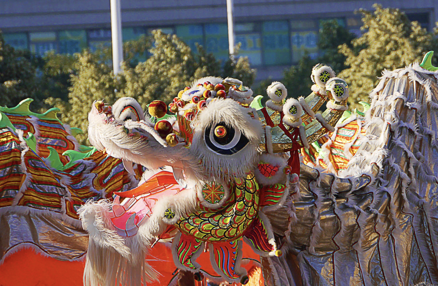 A dragon dances though a parade